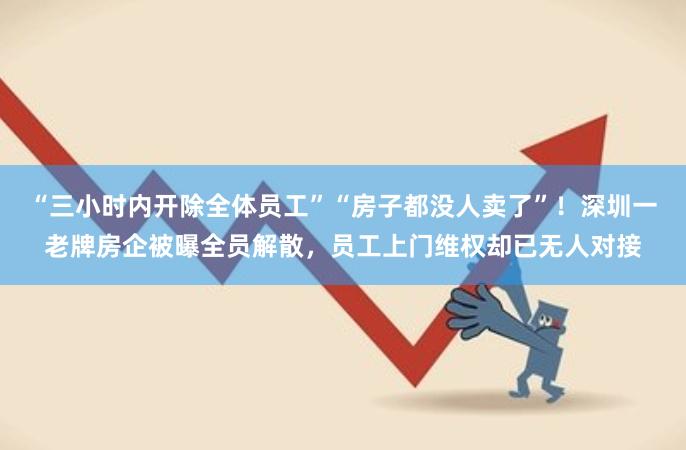 “三小时内开除全体员工”“房子都没人卖了”！深圳一老牌房企被曝全员解散，员工上门维权却已无人对接