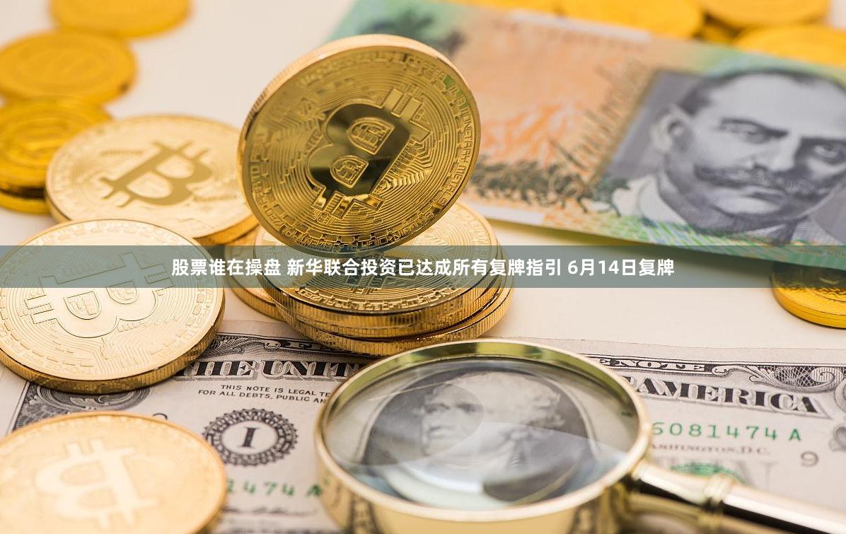 股票谁在操盘 新华联合投资已达成所有复牌指引 6月14日复牌