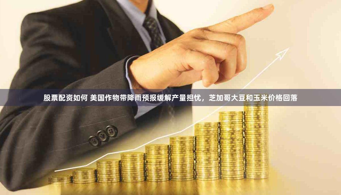 股票配资如何 美国作物带降雨预报缓解产量担忧，芝加哥大豆和玉米价格回落