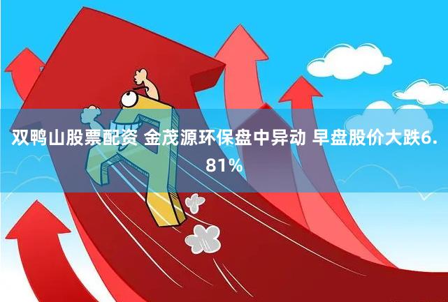 双鸭山股票配资 金茂源环保盘中异动 早盘股价大跌6.81%