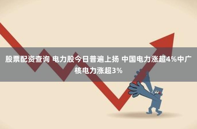 股票配资查询 电力股今日普遍上扬 中国电力涨超4%中广核电力涨超3%