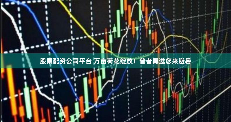 股票配资公司平台 万亩荷花绽放！普者黑邀您来避暑