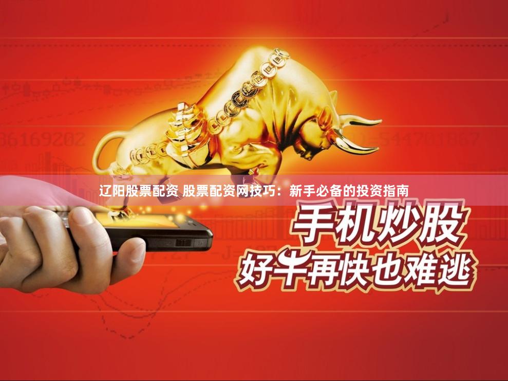辽阳股票配资 股票配资网技巧：新手必备的投资指南