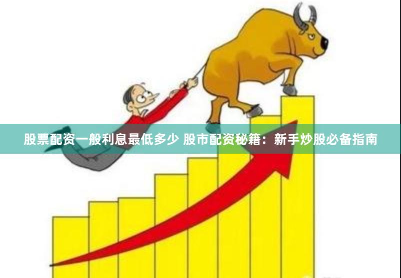 股票配资一般利息最低多少 股市配资秘籍：新手炒股必备指南