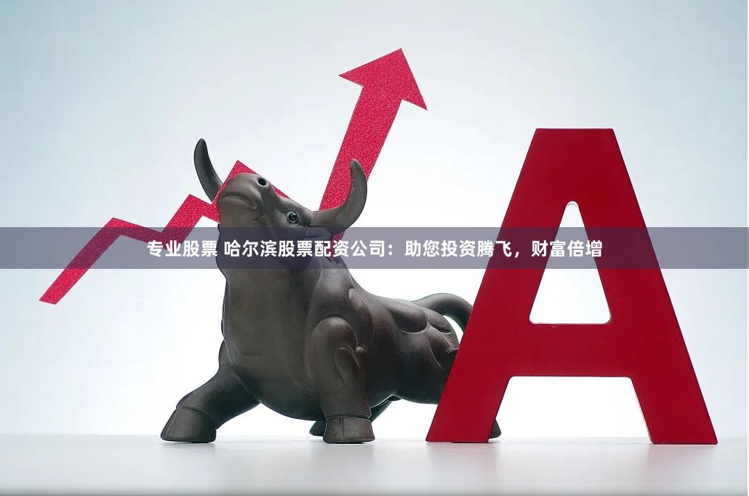 专业股票 哈尔滨股票配资公司：助您投资腾飞，财富倍增