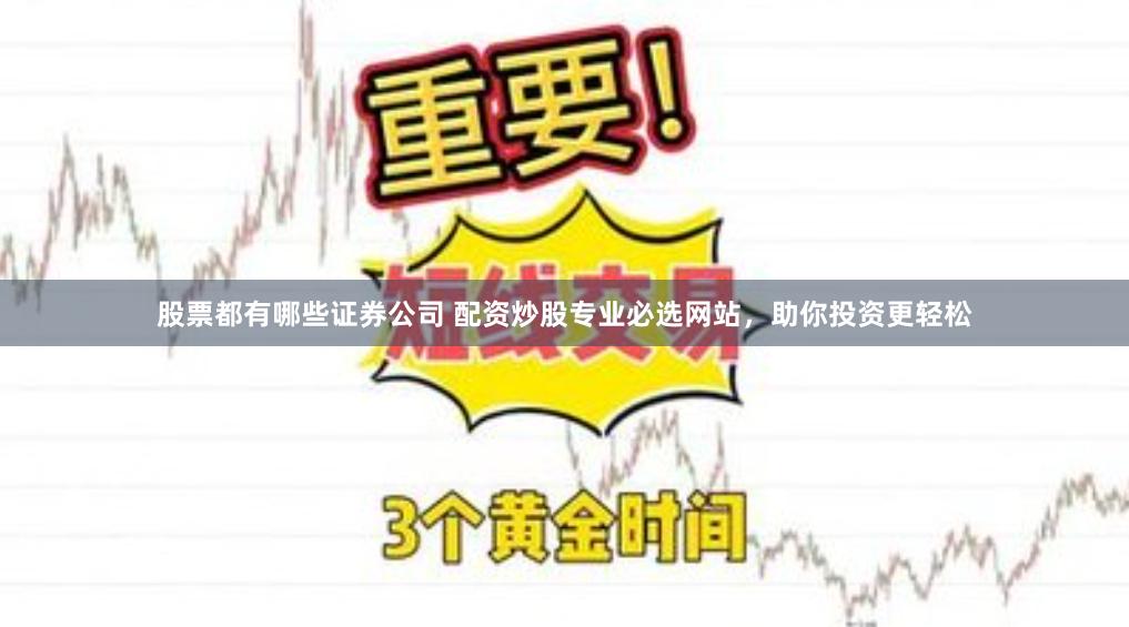 股票都有哪些证券公司 配资炒股专业必选网站，助你投资更轻松